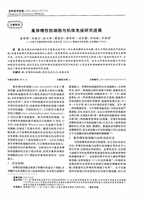 禽异嗜性粒细胞与机体免疫研究进展