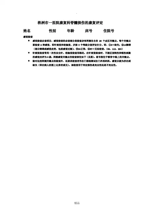 脊髓损伤评定表