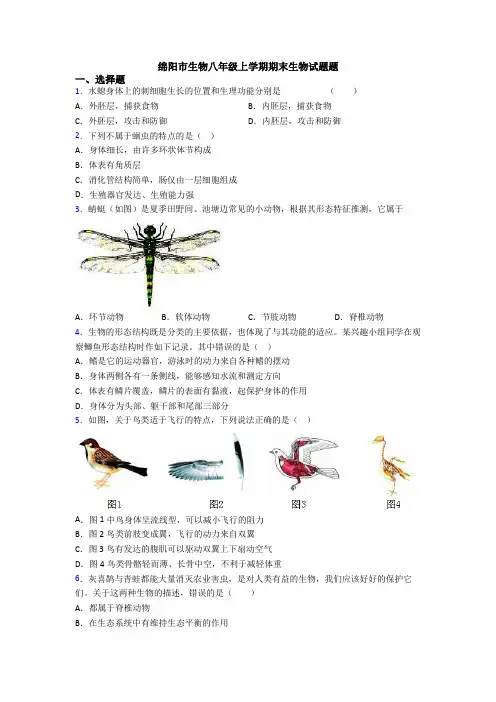 绵阳市生物八年级上学期期末生物试题题