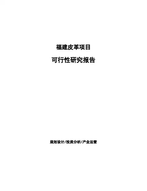 福建皮革项目可行性研究报告