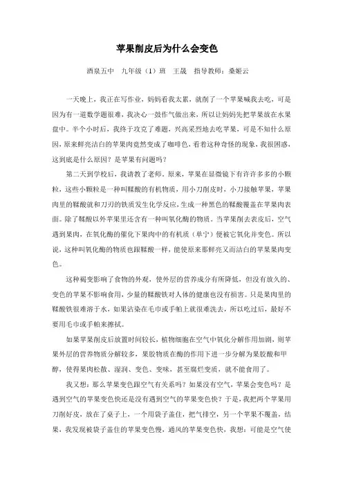 科技小论文