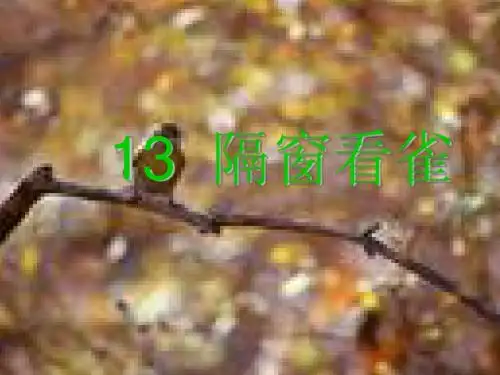 13.隔窗看雀