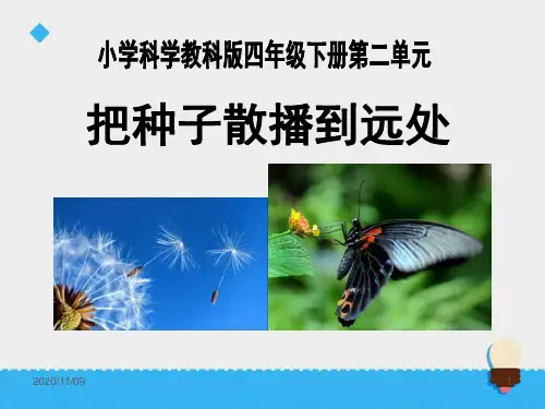 教科版四年级下册科学 《把种子散播到远处》新的生命PPT教学课件