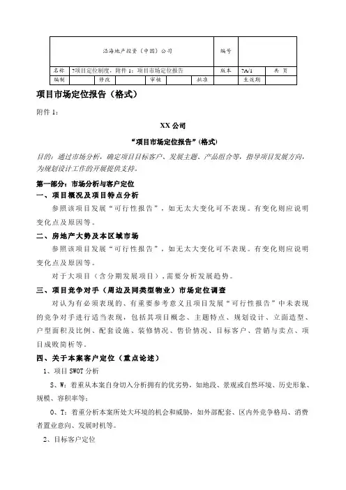 项目市场定位报告模版