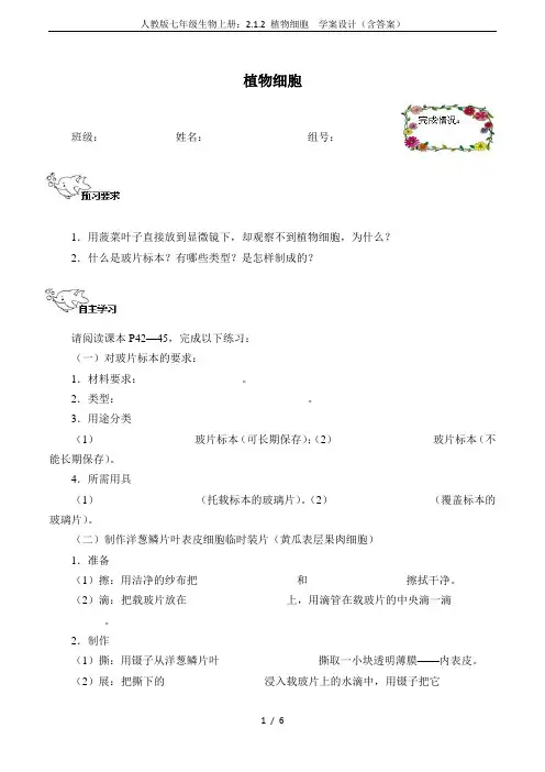 人教版七年级生物上册：2.1.2 植物细胞  学案设计(含答案)