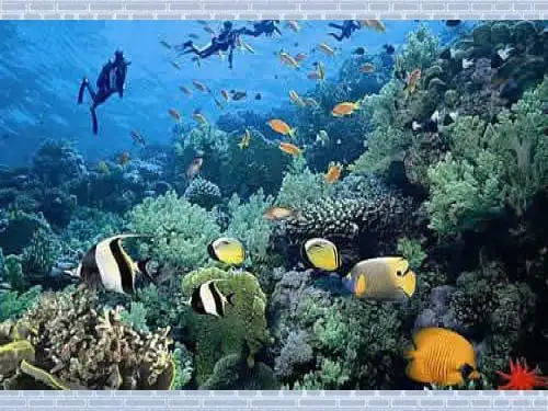 第三章 第一 节 中国的自然资源概况