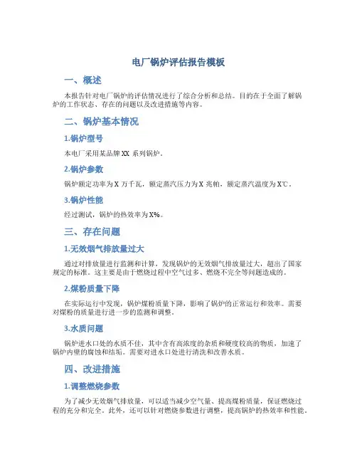 电厂锅炉评估报告模板