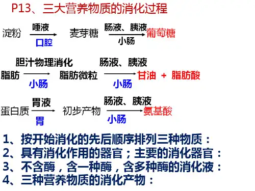 生物中考专题四.1ppt