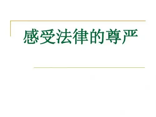 感受法律的尊严复习课