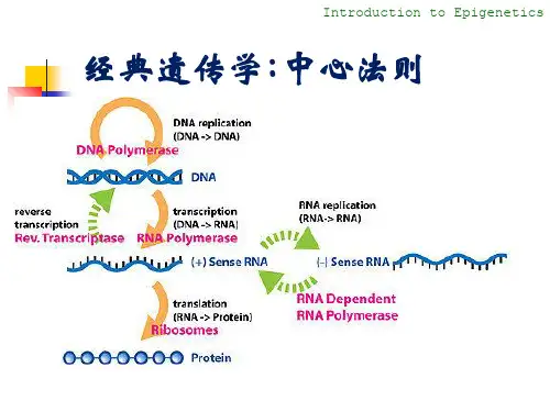 表观遗传学