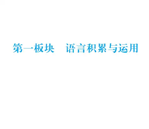 中考语文总复习课件：专题一字音、字形与书写(共55张PPT)