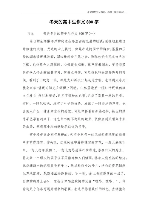 冬天的高中生作文800字