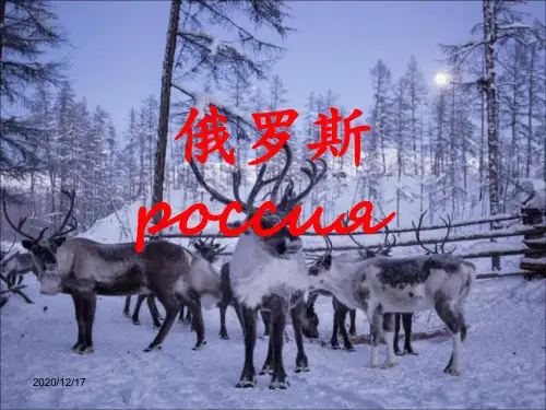 世界地理——俄罗斯 ppt课件