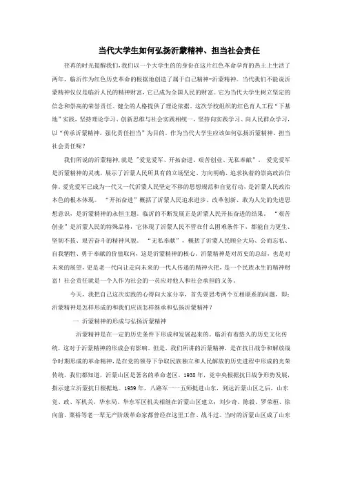 弘扬沂蒙精神实践报告