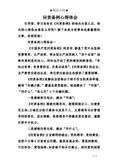 问责条例心得体会