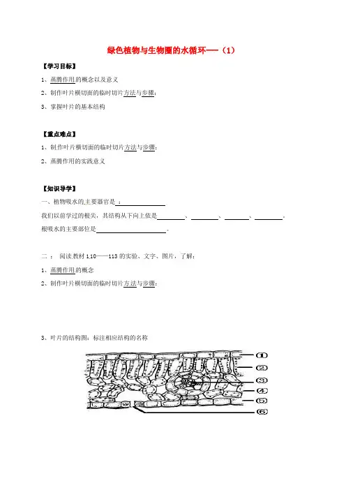 【人教版】2020版七年级生物上册3.3绿色植物与生物圈的水循环导学案1