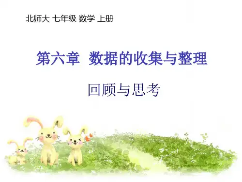 第六章 回顾与思考 北师大 七年级 数学 上