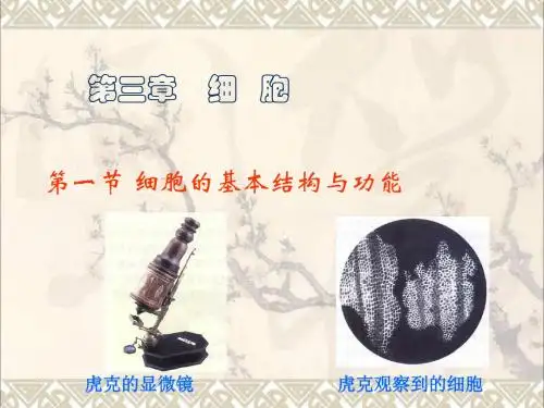 七年级生物上册2.3.1细胞的基本结构与功能(第1课时)课件北师大版
