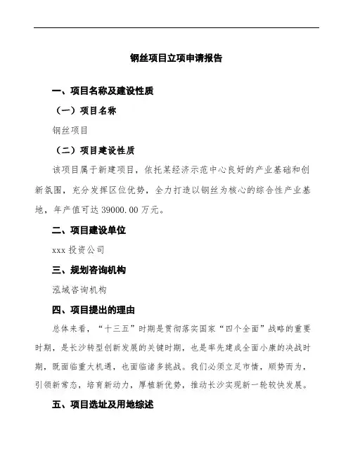 钢丝项目立项申请报告参考模板