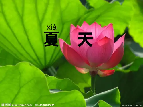 苏教版一年级语文下册识字5