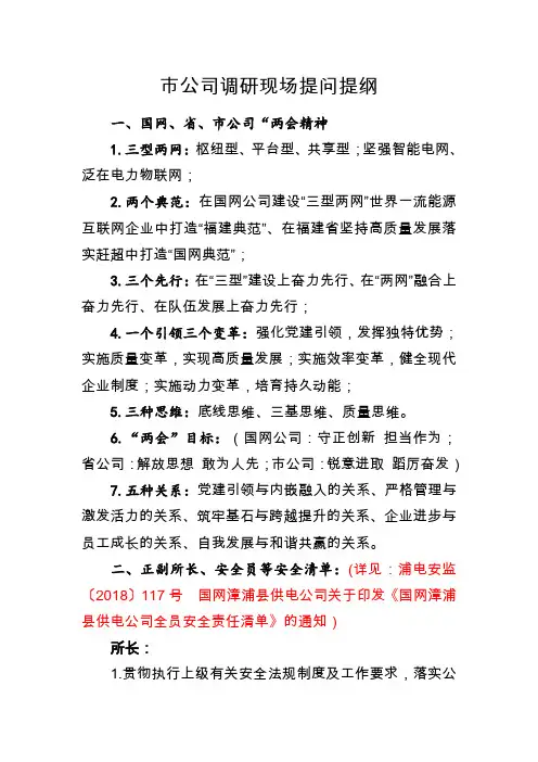 国网市公司调研现场提问提纲