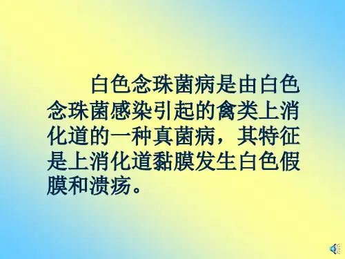 禽白色念珠菌病