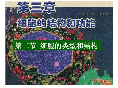 2 3-2 细胞的类型和结构 课件(苏教版必修1)