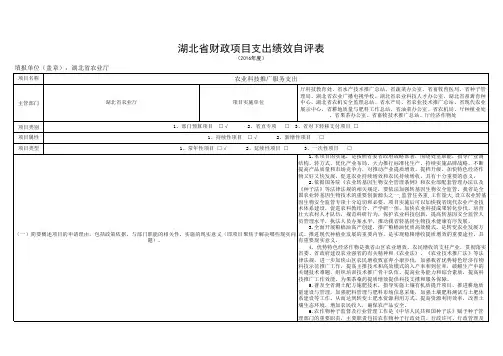 项目支出绩效自评表
