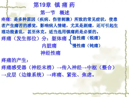 第19章镇痛药.pptx