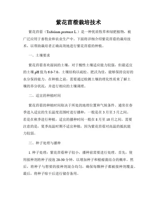 紫花苜蓿栽培技术