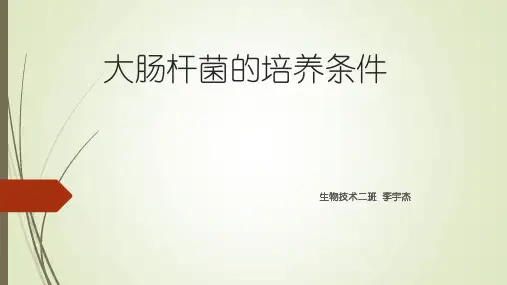 大肠杆菌的培养条件