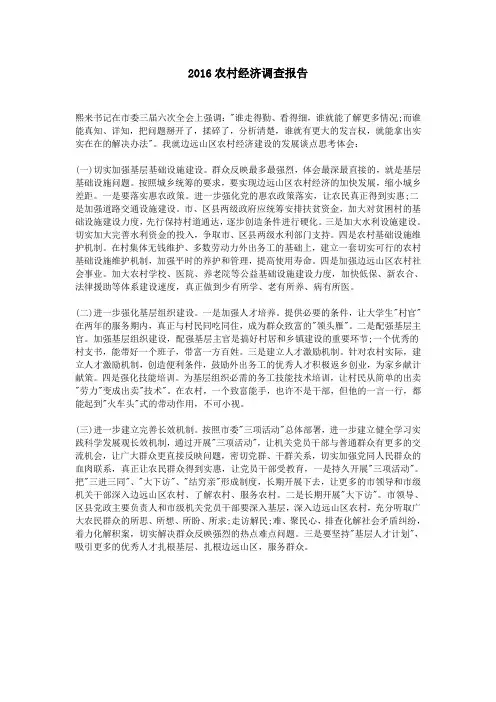2016农村经济调查报告