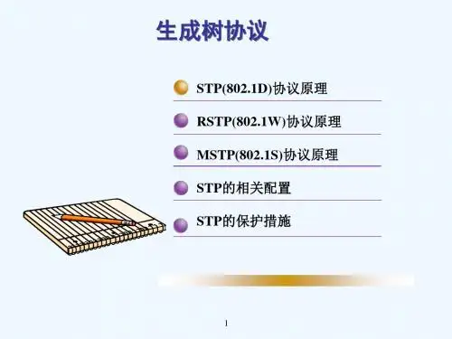 网络设计生成树协议