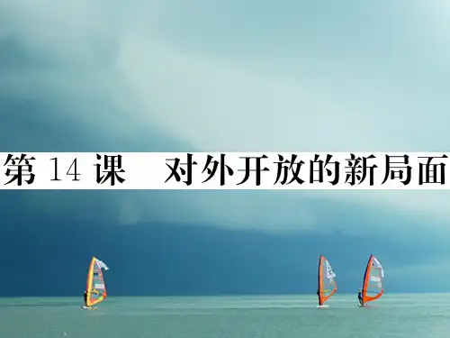 2018年春八年级历史下册 第四单元 建设中国特色社会主义道路的开拓 第14课 对外开放的新局面习题课件 岳麓