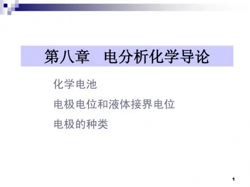 电分析化学导论