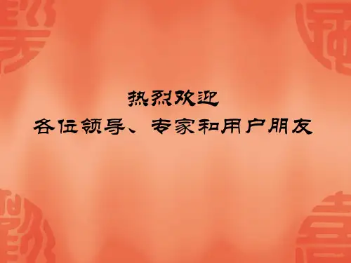 0932捣固车PPT