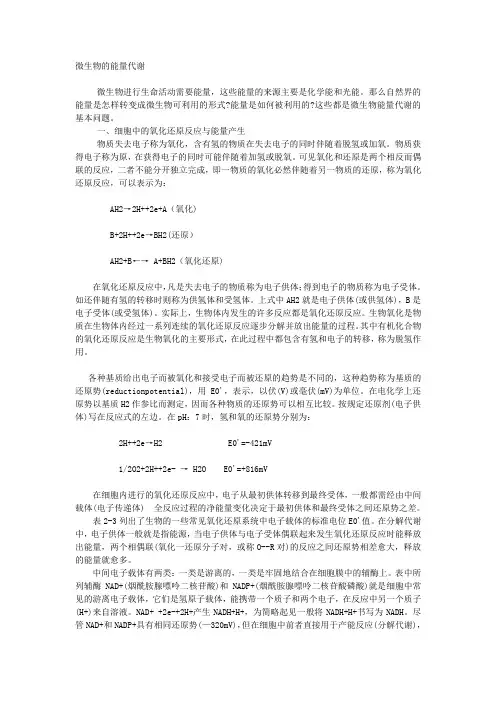 微生物的能量代谢