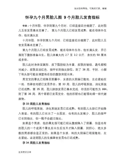 怀孕九个月男胎儿图 9个月胎儿发育指标