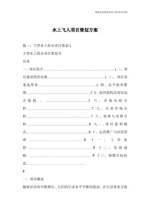水上飞人项目策划方案