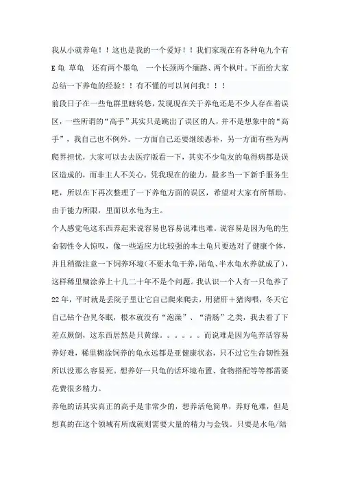 养龟心得