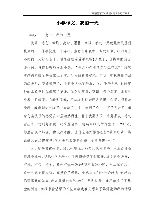 小学作文：我的一天