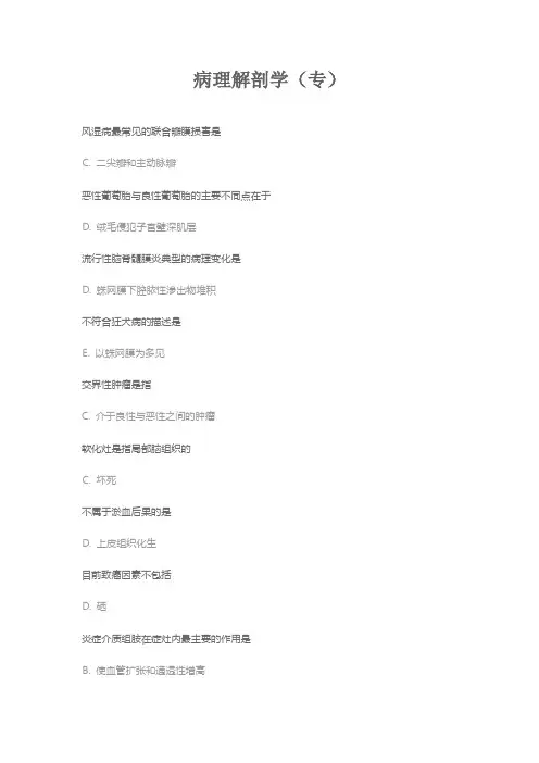 病理解剖学专