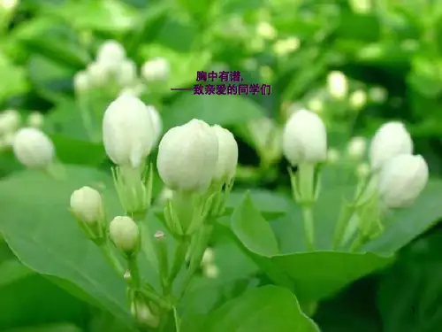 2019中考数学考前指导ppt课件