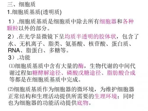 高一生物细胞质基本知识