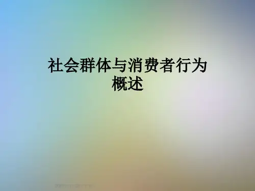 社会群体与消费者行为概述