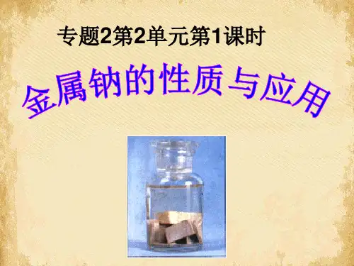 金属钠的性质与应用ppt10 苏教版