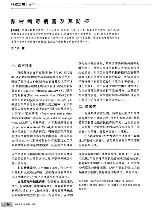 梨树病毒病害及其防控