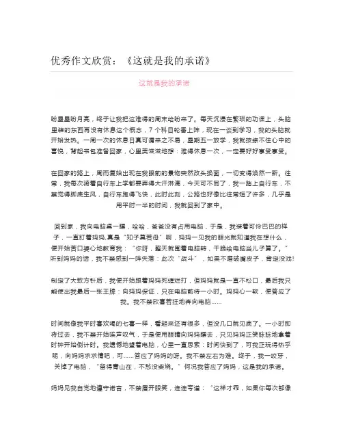 初中优秀作文《这就是我的承诺》