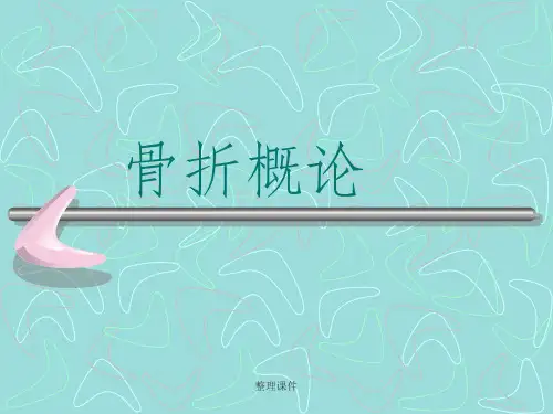 《骨折概论》