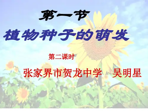 人教版七年级生物上册：第三单元 第二章 第一节 种子的萌发(第二课时)课件(共15张PPT)
